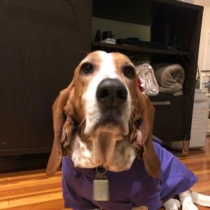 Meet your Posher, Jeff